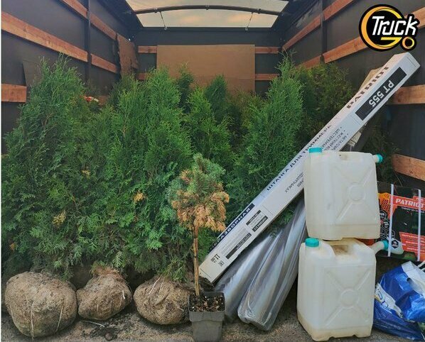 Перевозка крупных деревьев на Газели в Томске и Северске