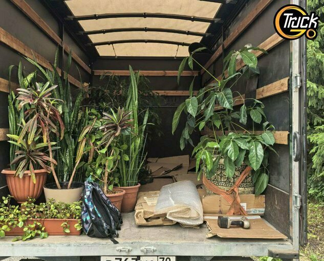 Перевозка декоративных растений на Газели в Томске и Северске